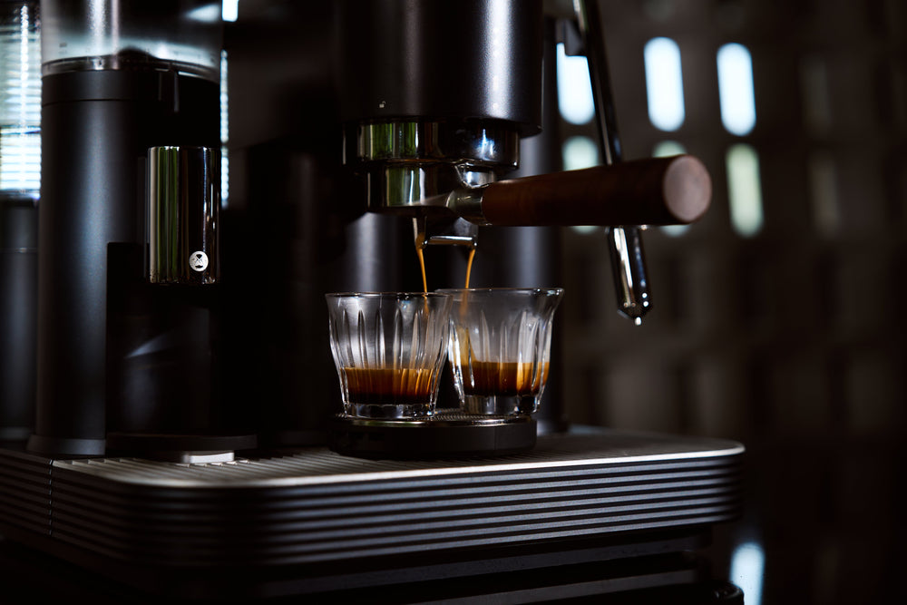 Keeping Ants and Pests Out of an Espresso Station