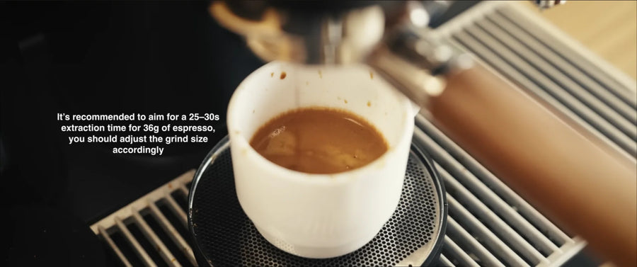 Coffee Bean Screen Size: Does It Matter for Espresso?