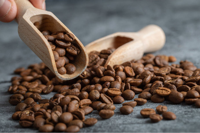A wooden scoop picking up roasted coffee beans from a pile.