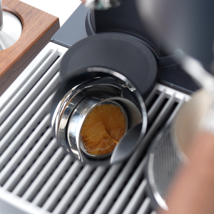 Meraki espresso machine: rich golden espresso with vibrant crema, showcasing brewing artistry.